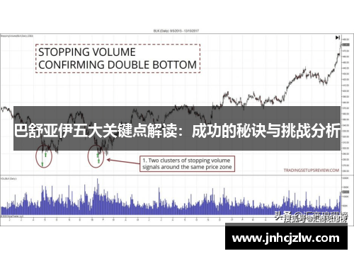 巴舒亚伊五大关键点解读：成功的秘诀与挑战分析